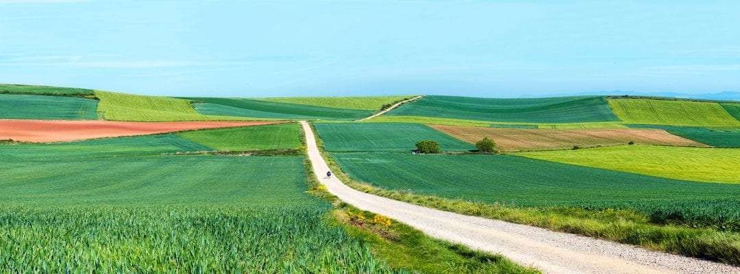 El Camino Portugués